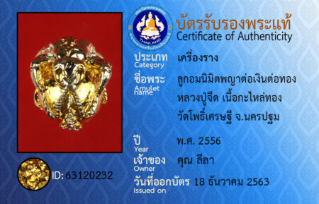 ID 63120232