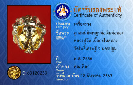 ID 63120233
