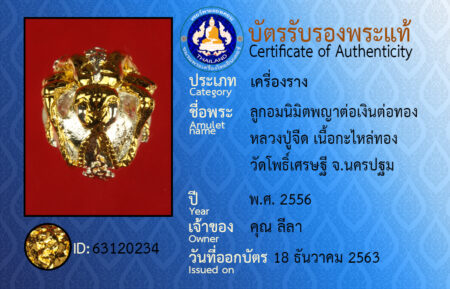 ID 63120234