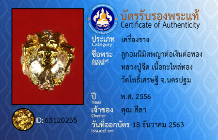 ID 63120235