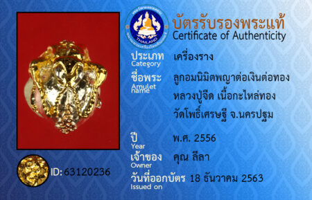 ID 63120236