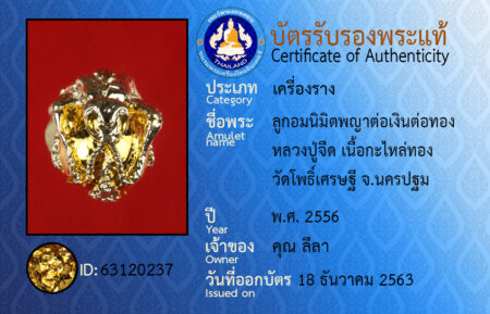 ID 63120237