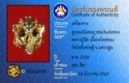 ID 63120238