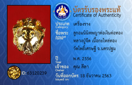 ID 63120239