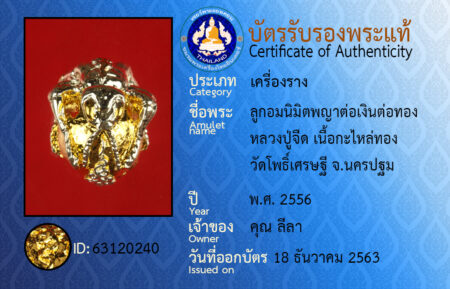 ID 63120240
