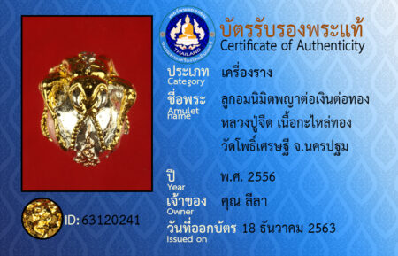 ID 63120241