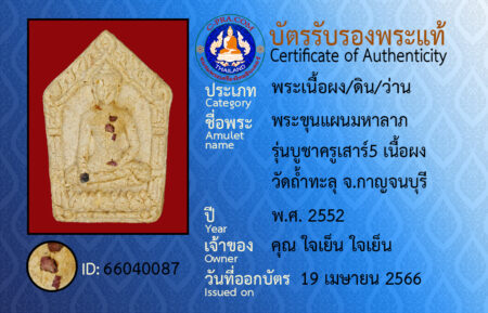 ID 66040087