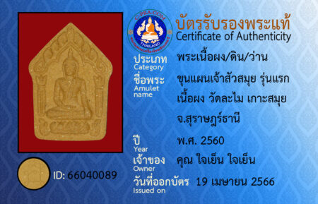 ID 66040089