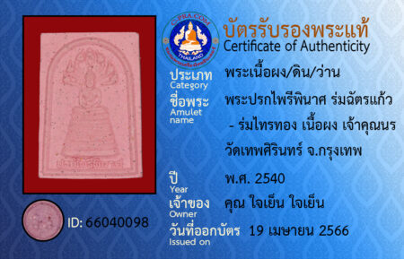 ID 66040098