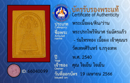ID 66040099