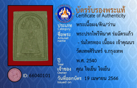 ID 66040101