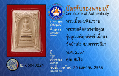 ID 66040224