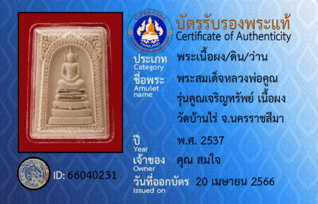 ID 66040231