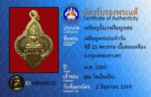 ID 69060002