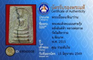 ID 69060008