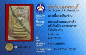 ID 69060011