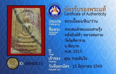 ID 69060011