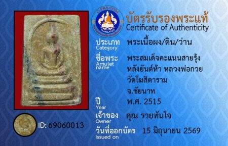ID 69060013
